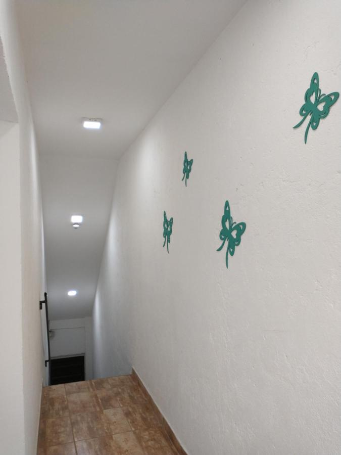Appartamento Departamentos Pachamama Tunuyán Esterno foto