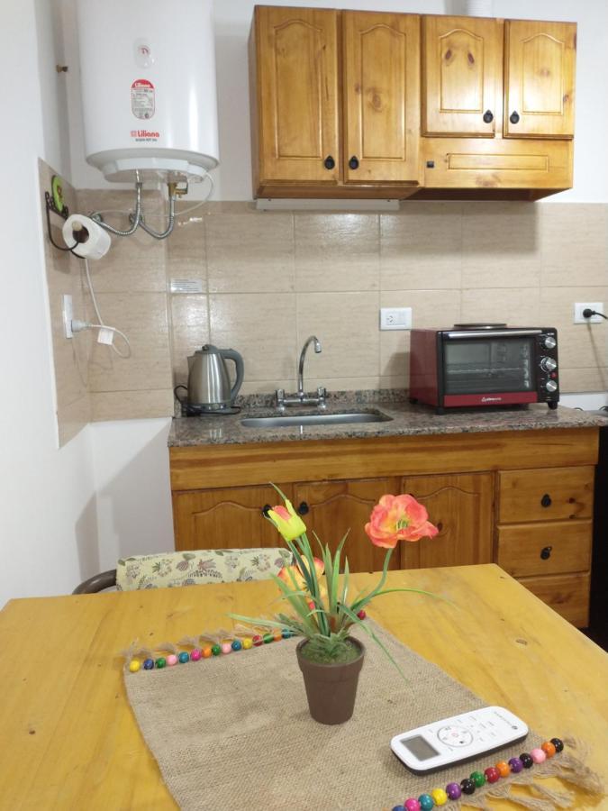 Appartamento Departamentos Pachamama Tunuyán Esterno foto